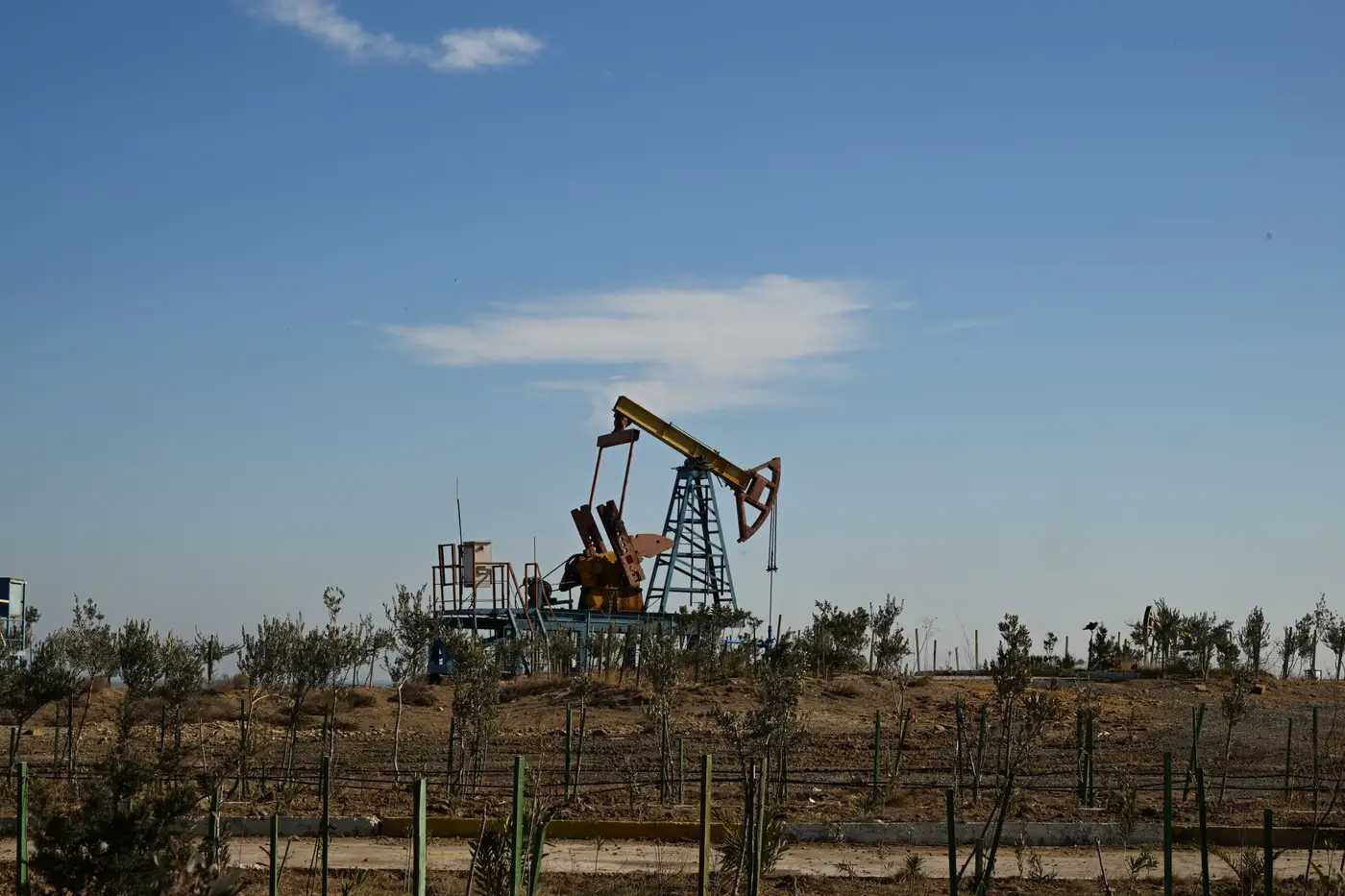 An oil pump jack standing in a dry, shrubby field under a clear sky.